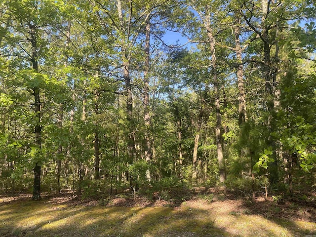 59 Easy St, Mount Ida, AR 71957 - view of local wilderness featuring a wooded view