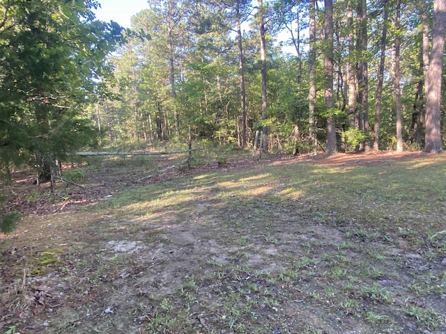 59 Easy St, Mount Ida, AR 71957 - view of yard featuring a view of trees