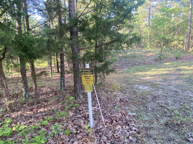 59 Easy St, Mount Ida, AR 71957 - exterior space with a forest view