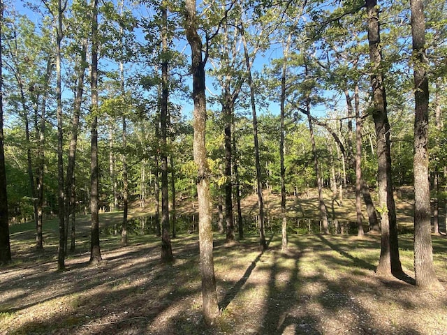 59 Easy St, Mount Ida, AR 71957 - view of landscape