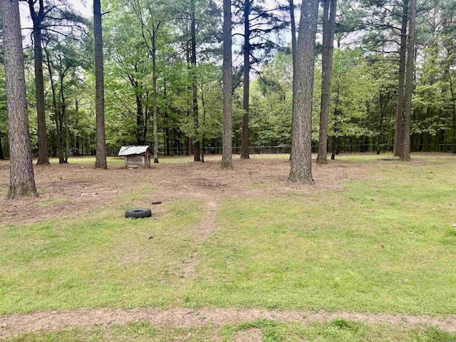159 Emelia St, Clarksville, AR 72830 - view of yard
