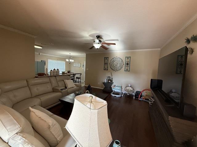 living area featuring ornamental molding, wood finished floors, and ceiling fan with notable chandelier