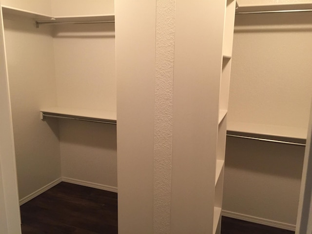 walk in closet featuring dark wood finished floors