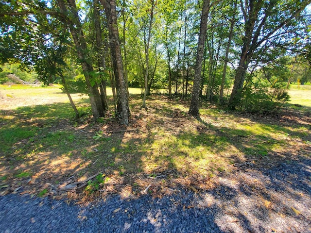8798 Holly Mountain Rd, Clinton, AR 72031