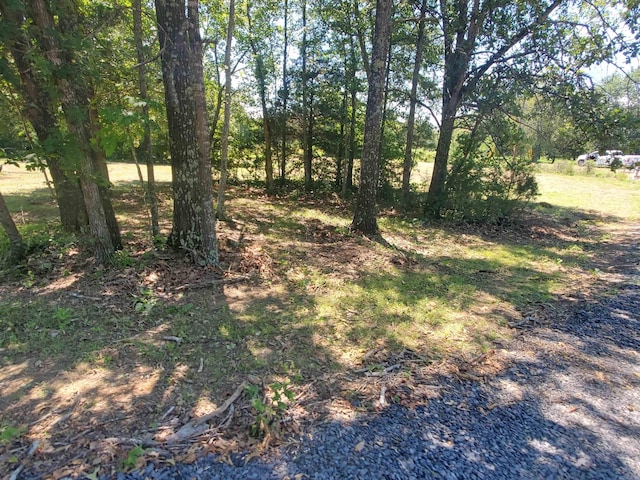 8798 Holly Mountain Rd, Clinton, AR 72031