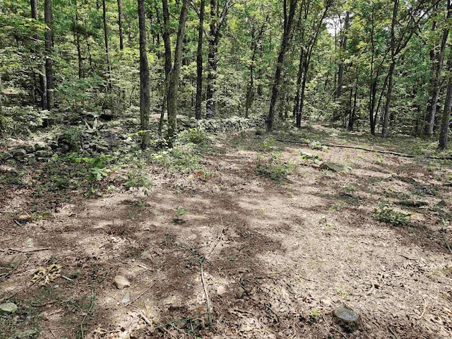 8798 Holly Mountain Rd, Clinton, AR 72031