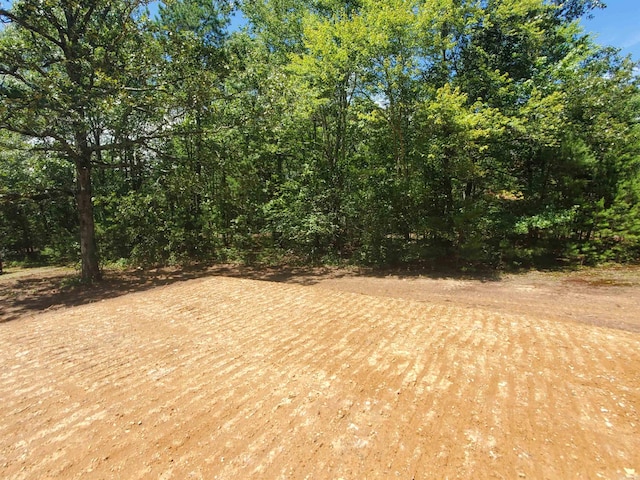 8798 Holly Mountain Rd, Clinton, AR 72031
