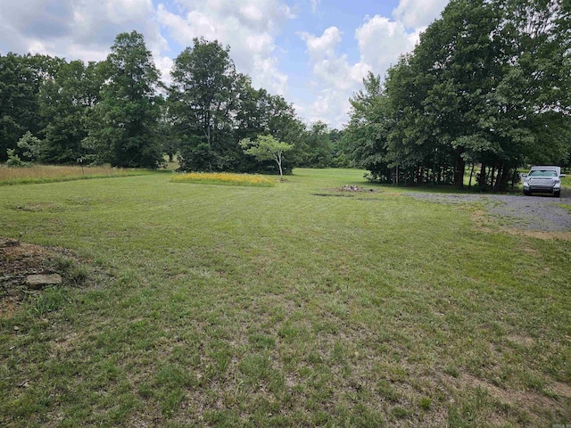 8798 Holly Mountain Rd, Clinton, AR 72031