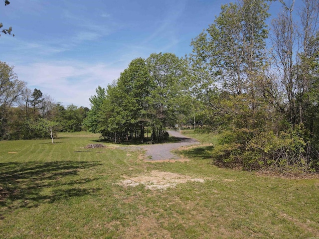 8798 Holly Mountain Rd, Clinton, AR 72031
