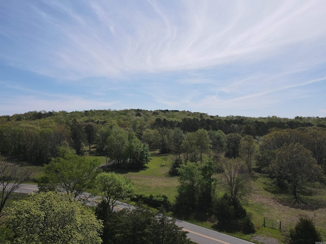 8798 Holly Mountain Rd, Clinton, AR 72031