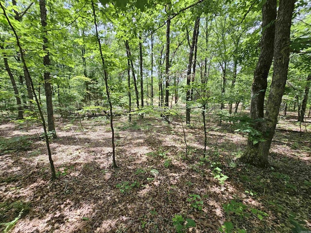 8798 Holly Mountain Rd, Clinton, AR 72031