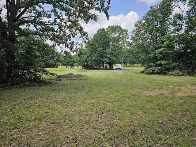 8798 Holly Mountain Rd, Clinton, AR 72031