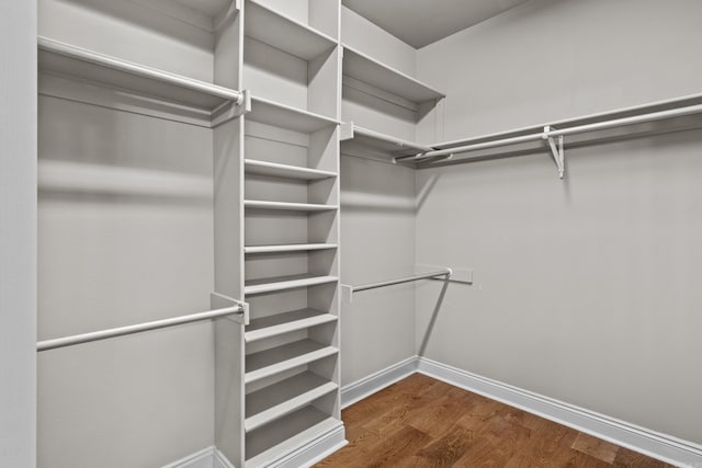 walk in closet featuring wood finished floors