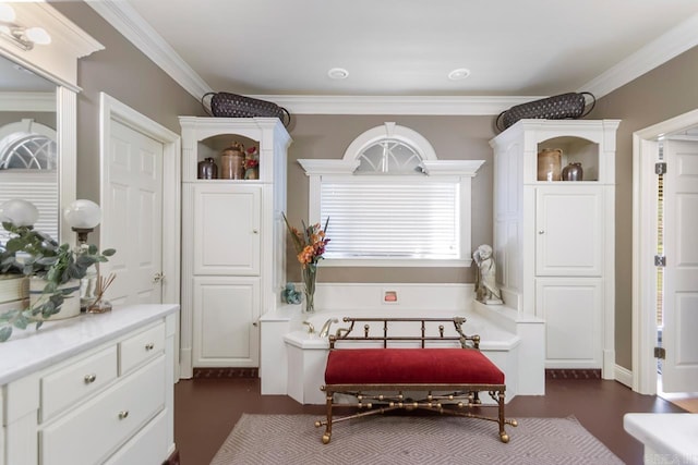 interior space with ornamental molding