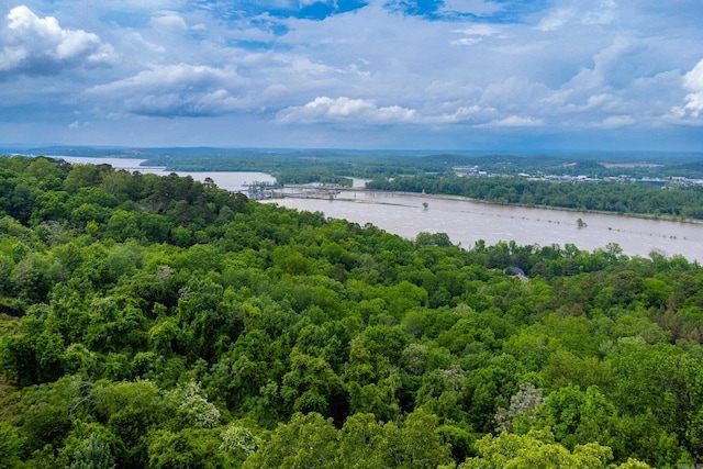 bird's eye view with a wooded view and a water view