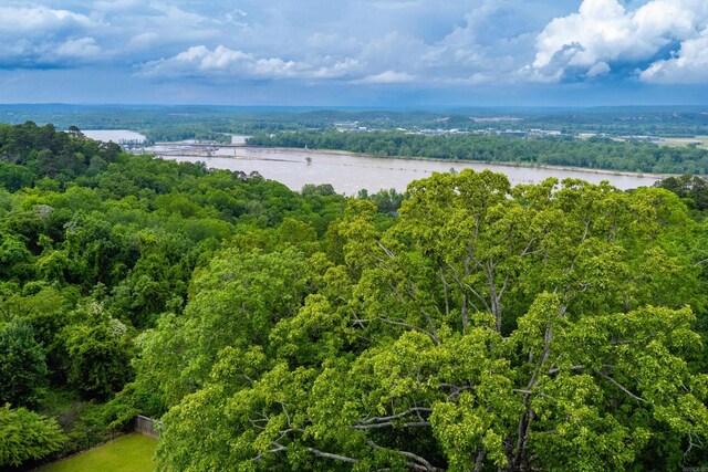 birds eye view of property with a water view and a forest view