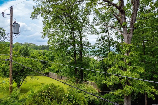 view of nature with a wooded view
