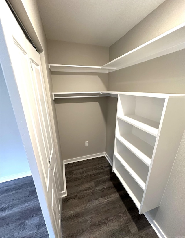 spacious closet featuring wood finished floors