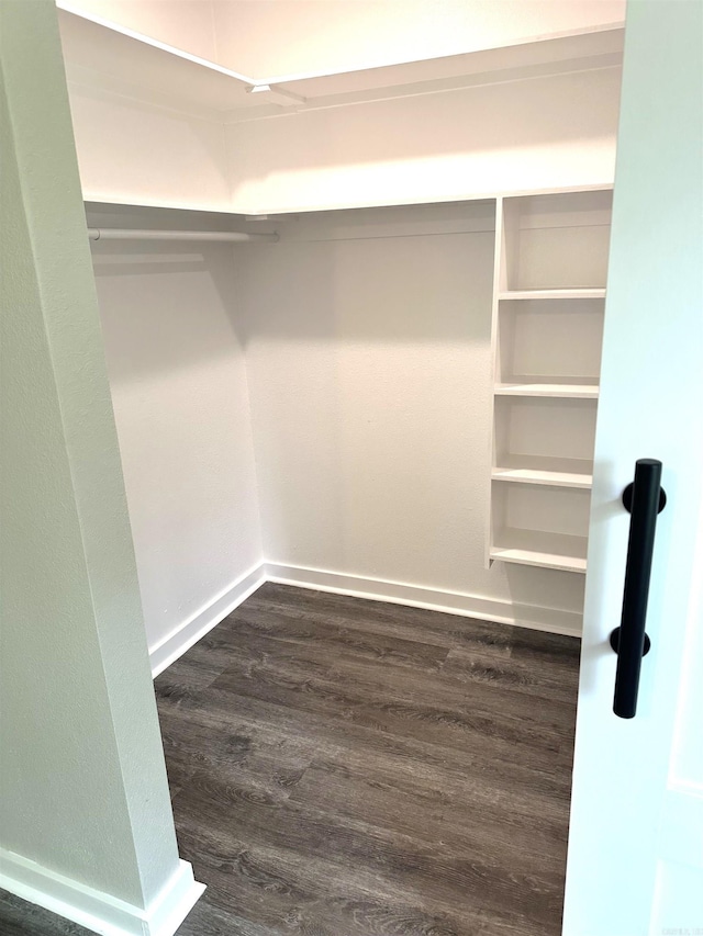 walk in closet featuring dark wood-style flooring