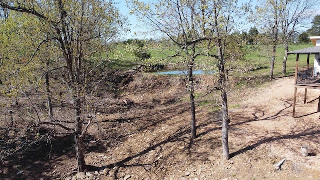 918 Bowith Hollow Rd, Marshall, AR 72650 - view of yard