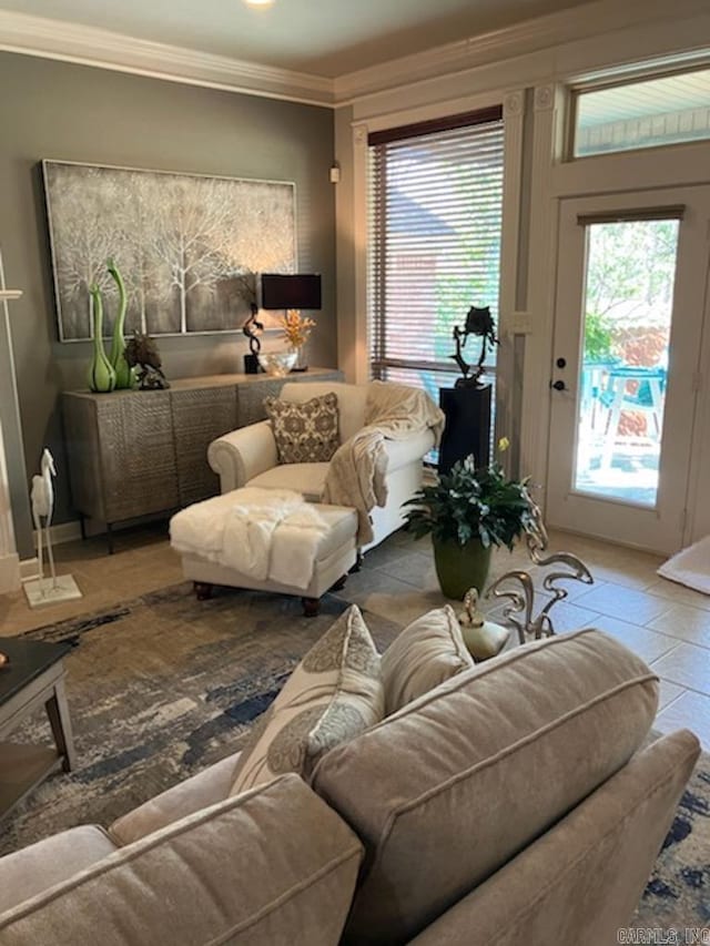 living area with ornamental molding