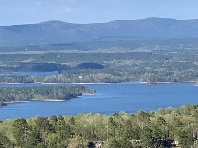property view of water with a wooded view
