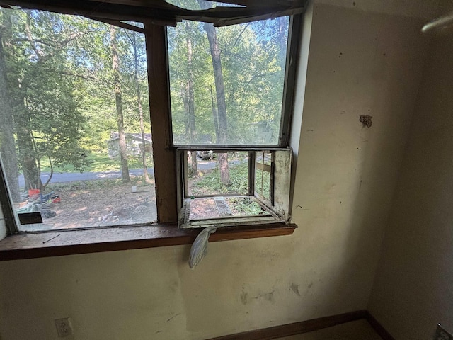 3000 Cobb St, Little Rock, AR 72204 - view of interior details