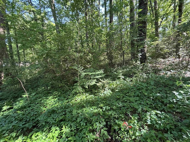 3000 Cobb St, Little Rock, AR 72204 - view of nature featuring a wooded view