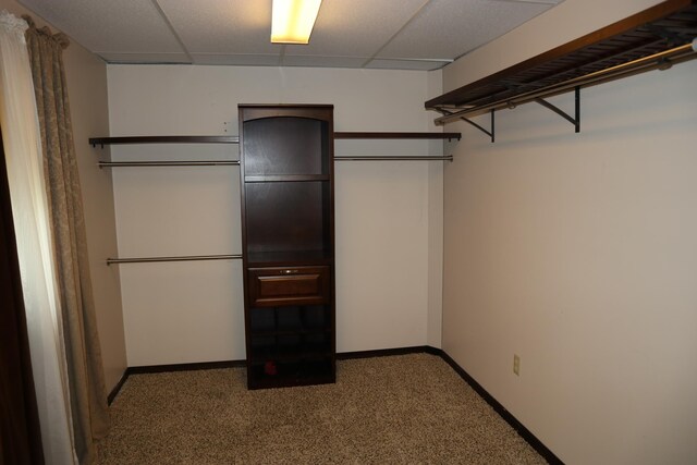 spacious closet featuring carpet floors