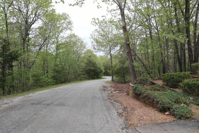 view of road with a wooded view