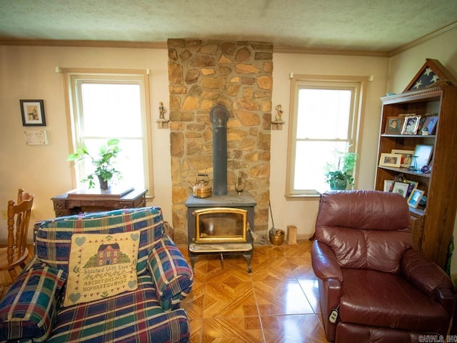living area featuring ornamental molding, a wood stove, and a textured ceiling