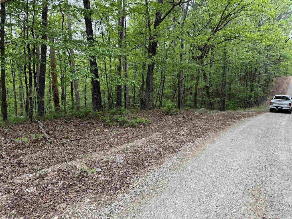 6 Combre Way, Hot Springs Village, AR 71909