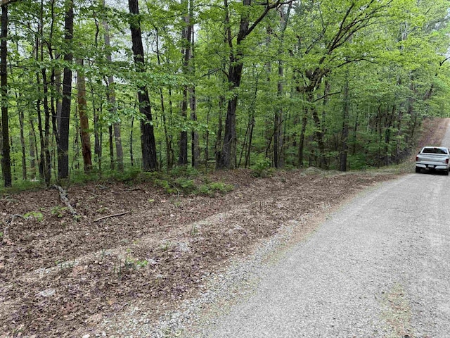 6 Combre Way, Hot Springs Village, AR 71909
