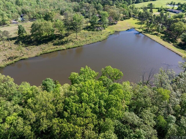 drone / aerial view with a wooded view and a water view