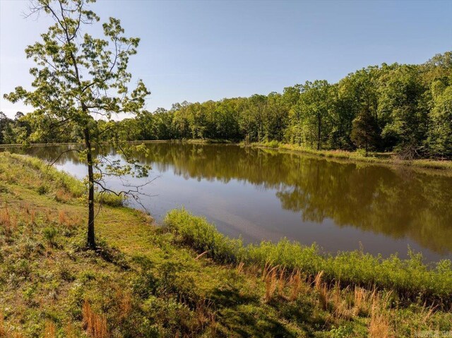 view of water feature with a wooded view