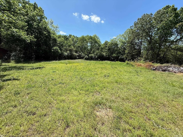 4500 Yvonne Dr, Little Rock, AR 72210 - view of yard featuring a view of trees