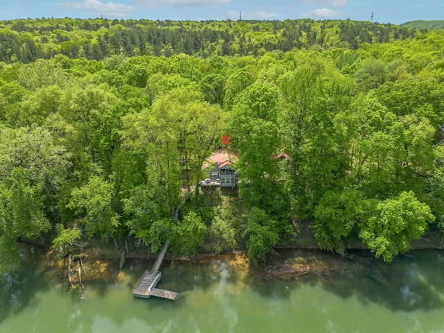 drone / aerial view featuring a view of trees and a water view
