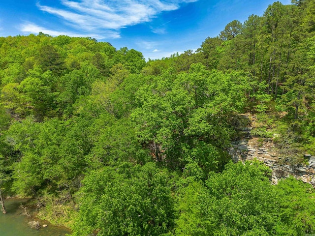 view of landscape with a forest view