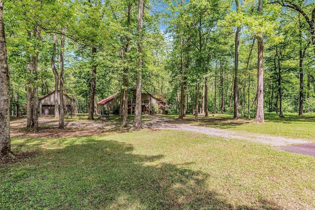 view of yard featuring a forest view and an outbuilding
