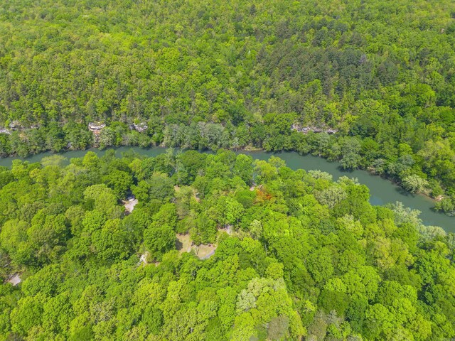 bird's eye view with a wooded view and a water view