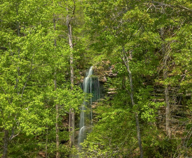 view of nature