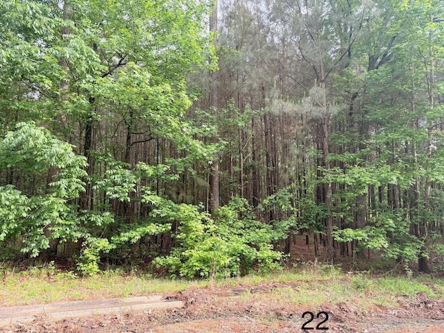 Spruce Cv, Monticello AR, 71655 land for sale