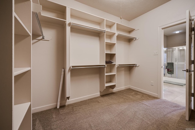 505 Fieldstone, Conway, AR 72034 - spacious closet featuring carpet flooring