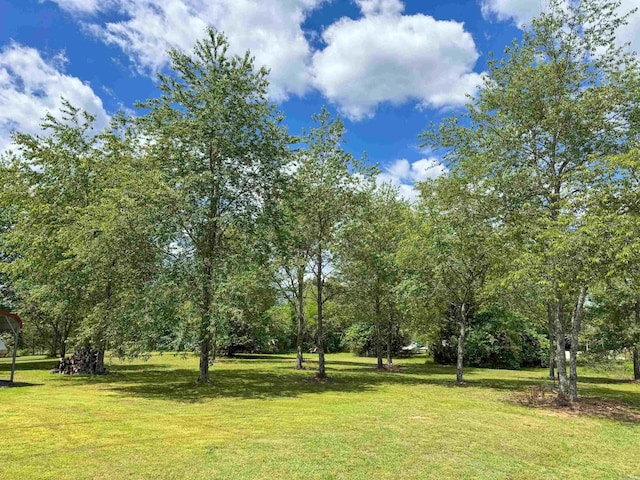 20 Jeffrey Scott Dr, Quitman, AR 72131 - view of yard