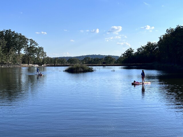 view of water feature with a wooded view