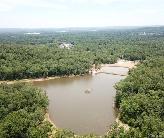 birds eye view of property featuring a water view and a forest view