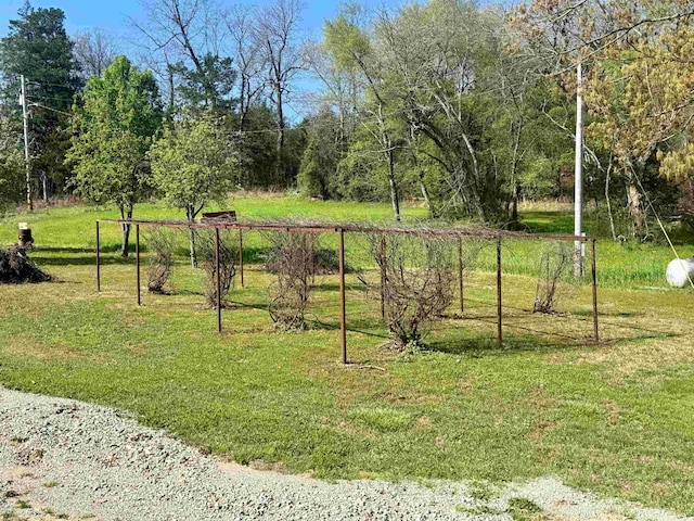 2157 Pleasant Grove Rd, Wideman, AR 72585 - view of yard
