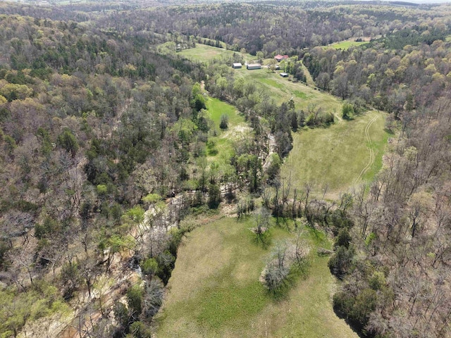 2157 Pleasant Grove Rd, Wideman, AR 72585 - drone / aerial view featuring a view of trees