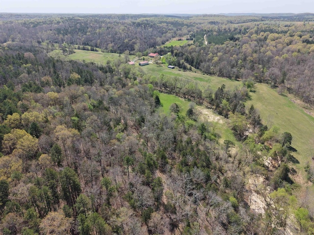 2157 Pleasant Grove Rd, Wideman, AR 72585 - bird's eye view with a wooded view