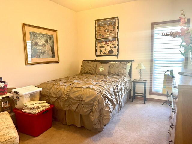 2157 Pleasant Grove Rd, Wideman, AR 72585 - bedroom with multiple windows and carpet